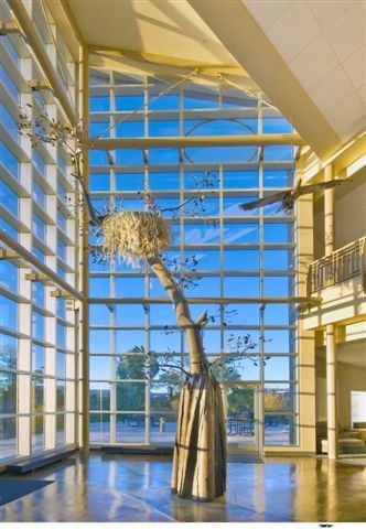 Eagle-Nest Art Inside the Reno Sparks Tribal Health Center