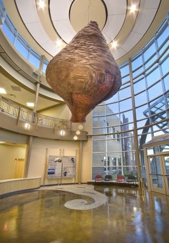 Water-Basket Art Inside the Reno Sparks Tribal Health Center